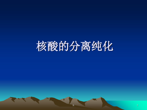 《核酸的分离纯化》PPT课件