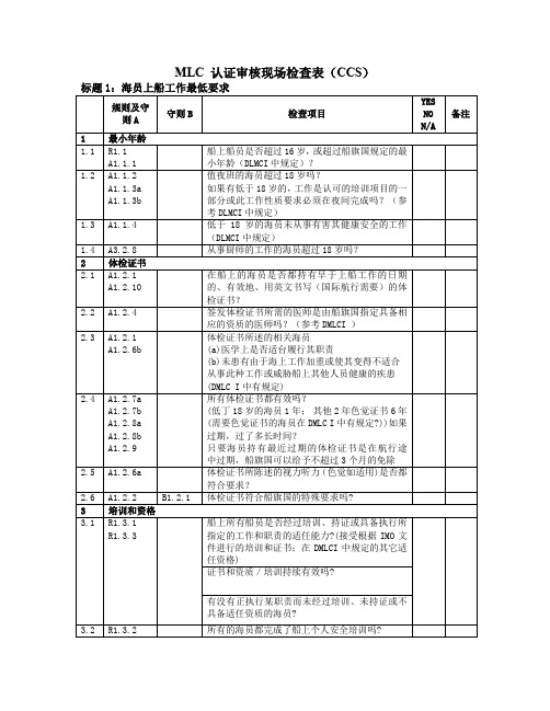 CCSMLC认证审核现场检查表