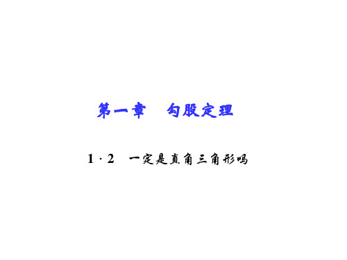 八年级数学上册(北师大版 习题课件)：第一章 勾股定理