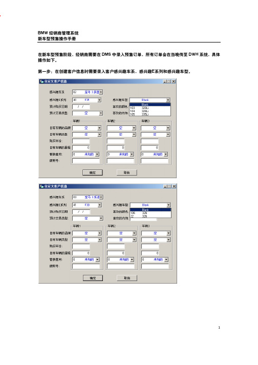 04_DMS销售线索订单输入操作手册