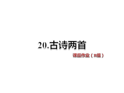 人教新课标四年级语文上册《20.古诗两首》课后作业B组课件