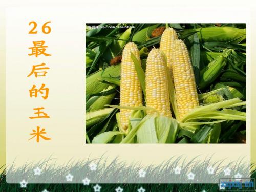 第26课 最后的玉米