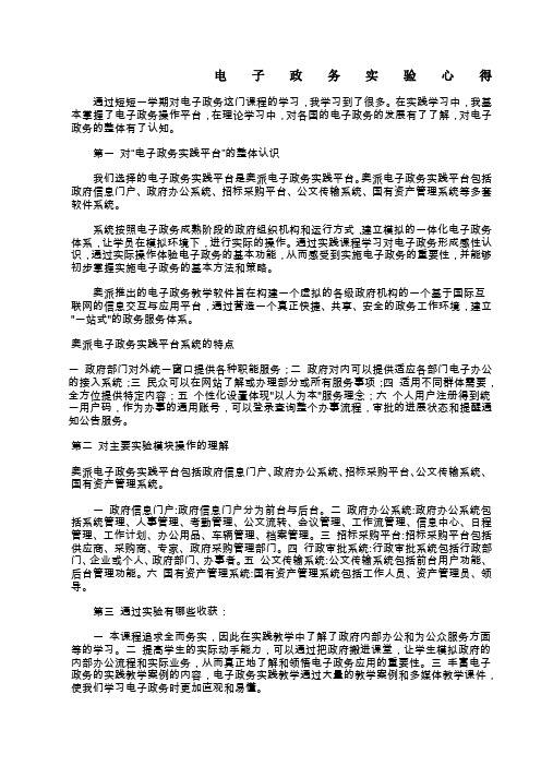 电子政务实验心得