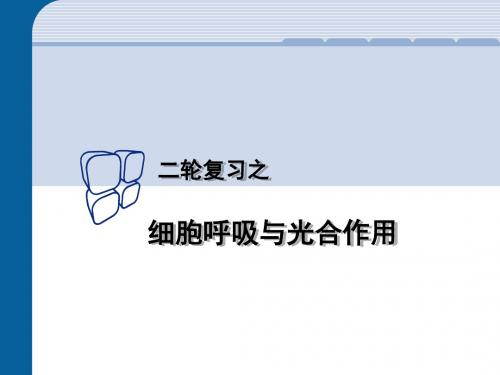 细胞呼吸和光合作用的复习