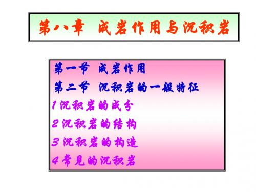 8 成岩作用与沉积岩(资工、地信、地质)