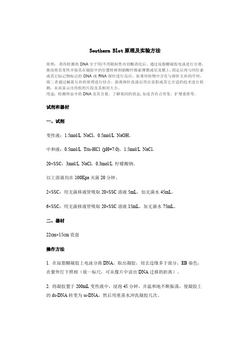 Southern Blot原理及实验方法