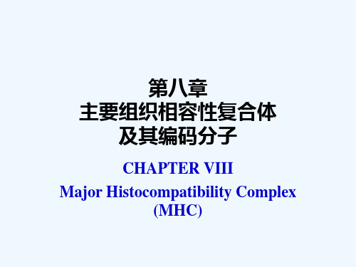 第八章主要组织相容性复合体及其编码分子