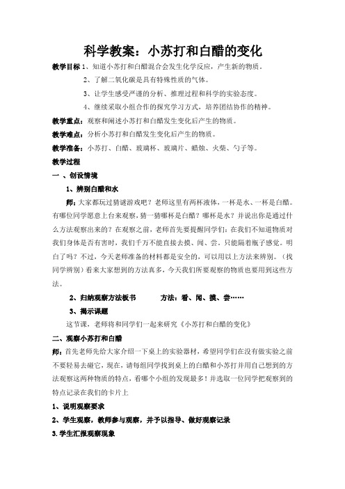 六年级下册科学教案 -2. 4 小苏打和白醋的 变化｜教科版 (6)