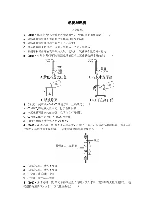 2018年中考化学复习第一部分八全第六单元燃烧与燃料二随堂演练鲁教版
