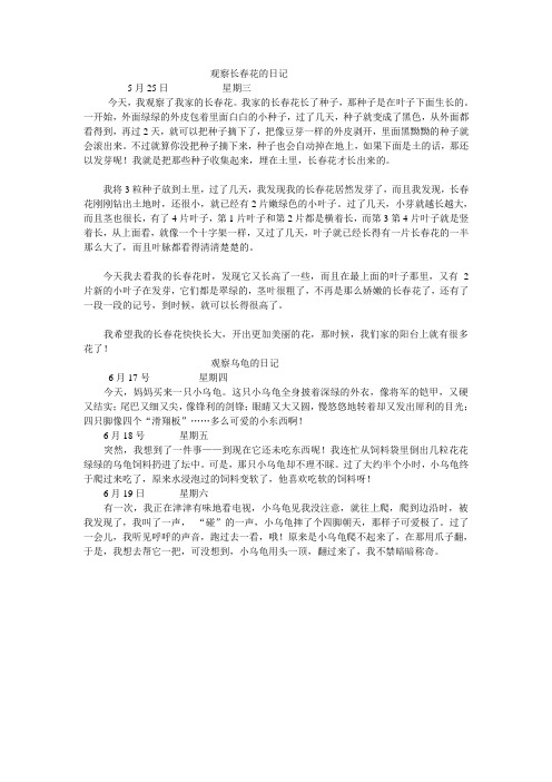 观察长春花的日记