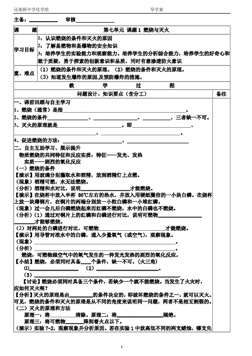 燃烧与灭火的导学案