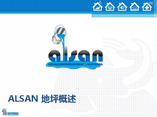 2018ALSAN 地坪地坪介绍-SUE
