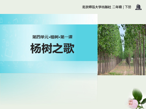 《杨树之歌》 图文