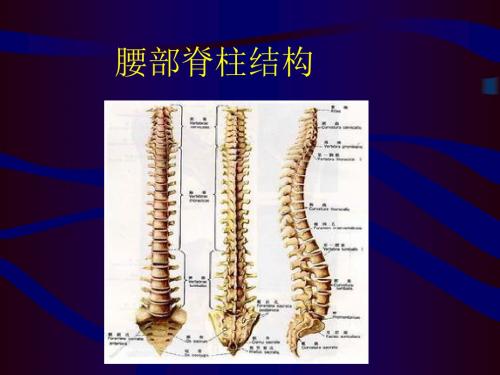 老年人腰腿痛科普讲座