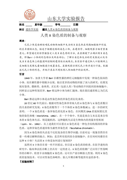 人类X染色质的制备与观察