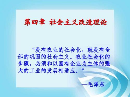 毛概第4章