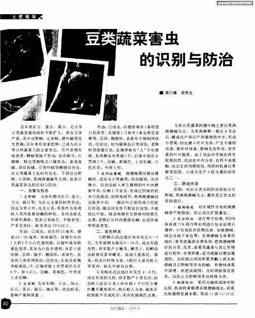 豆类蔬菜害虫的识别与防治