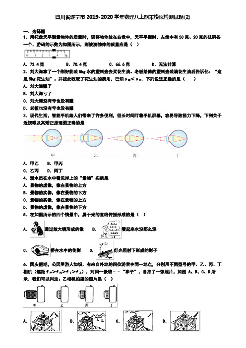 四川省遂宁市2019-2020学年物理八上期末模拟检测试题(2)