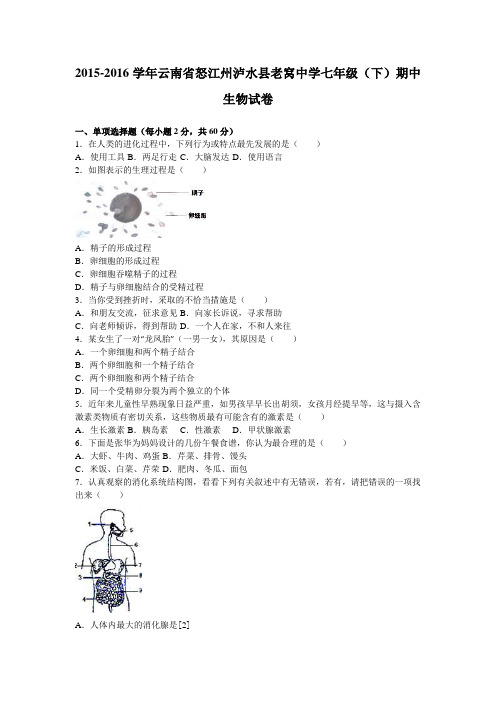 云南省怒江州泸水县老窝中学2015-2016学年七年级(下)期中生物试卷(解析版)
