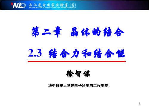 2.3-结合力和结合能