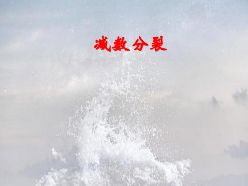 减数分裂过程复习PPT教学课件