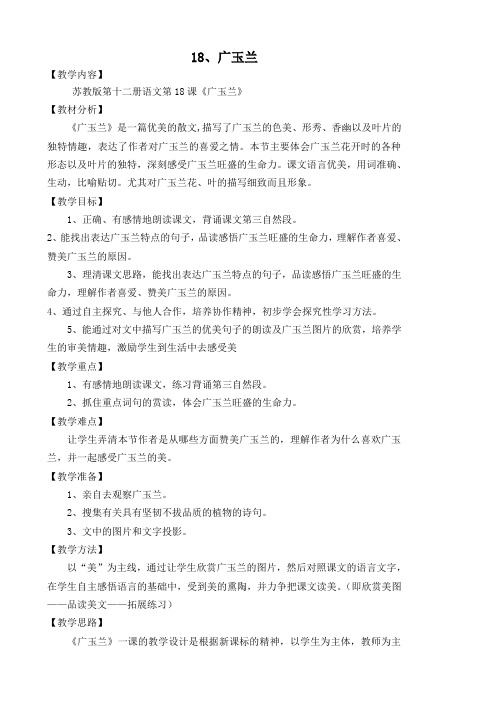 广玉兰