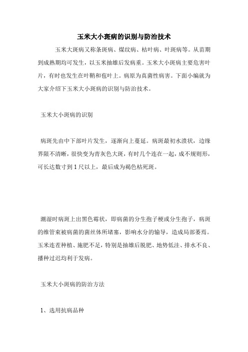 玉米大小斑病的识别与防治技术.doc