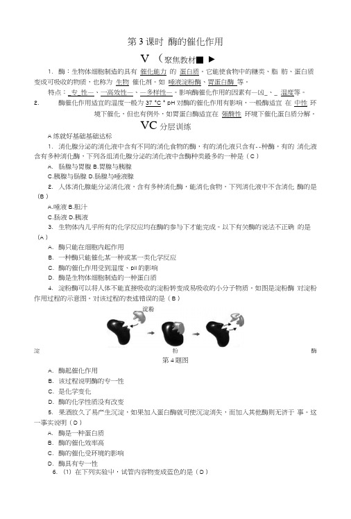 九年级科学上册第4章代谢与平衡第2节食物的消化与吸收第3课时酶的催化作用练习新版浙教版.doc