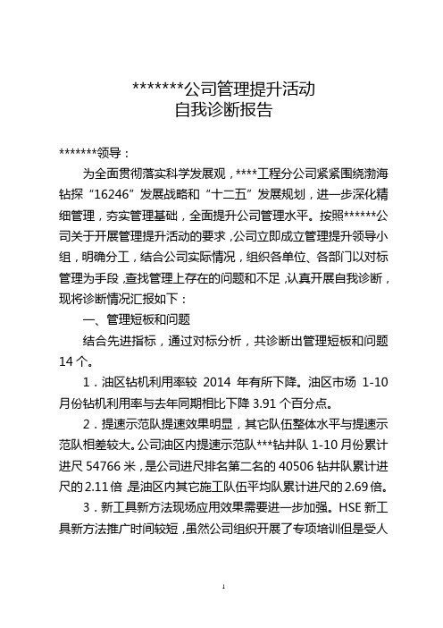 公司管理提升活动自我诊断报告
