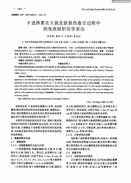 P选择素在大鼠皮肤损伤愈合过程中的免疫组织化学表达