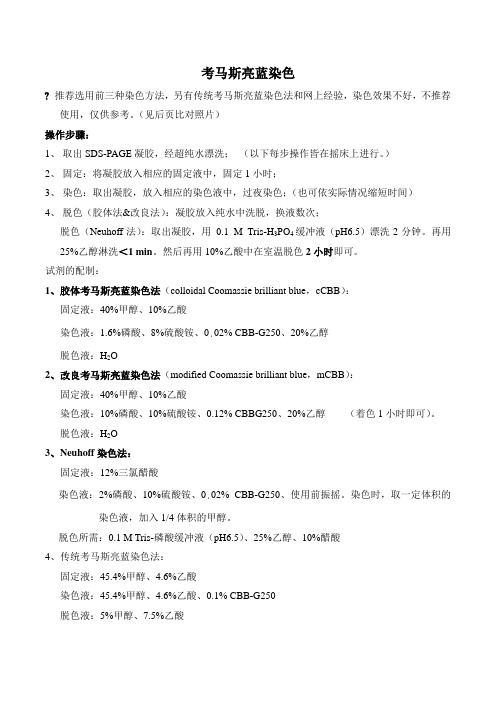最优考马斯亮蓝染色Protocol
