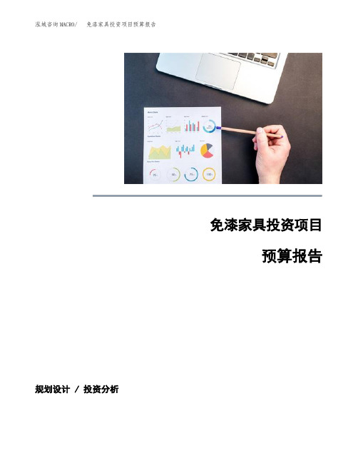 免漆家具投资项目预算报告