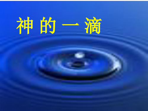 高中语文神的一滴ppt20 苏教版精品课件