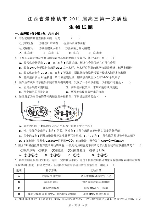 2011年景德镇市高三第一次调研考试生物试题