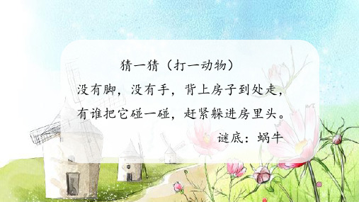 (一上)一年级上册14 小蜗牛 PPT精品课件 部编版