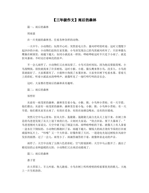 【三年级作文】雨后的森林