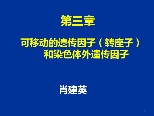 转座子质粒遗传重组PPT课件