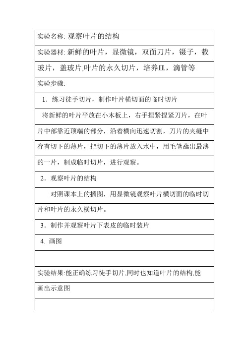 实验七++观察叶片的结构
