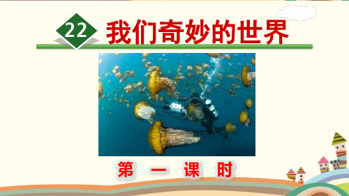 部编三年级下册《22.我们奇妙的世界》课件及同步练习(公开课)