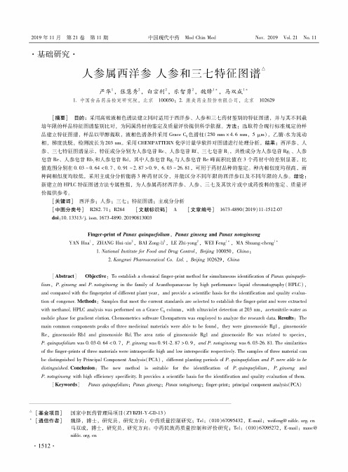 人参属西洋参 人参和三七特征图谱
