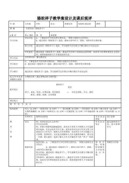 《骆驼祥子》教案优秀公开课教学设计