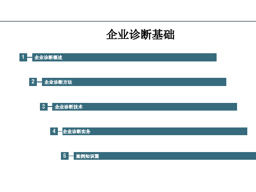 企业诊断基础