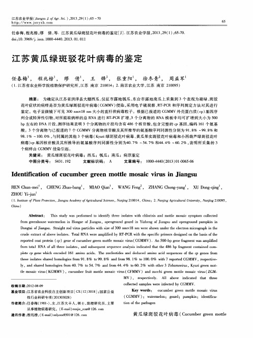 江苏黄瓜绿斑驳花叶病毒的鉴定