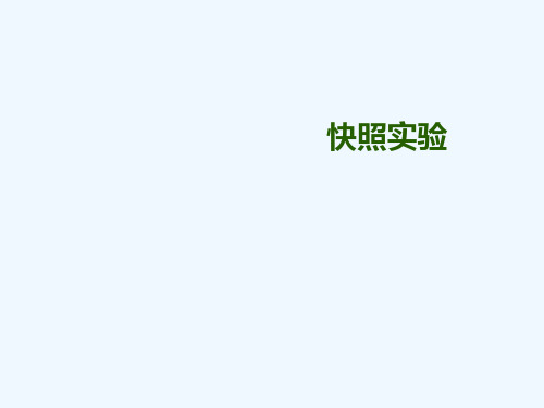 Snapshot快照实验