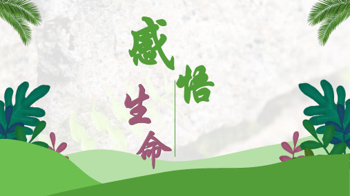 八年级语文感悟生命优秀课件