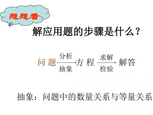 新华师大版七年级数学初一下册6.3实践与探索 (第1、2课时)PPT课件