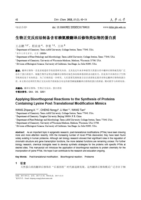 生物正交反应法制备含有赖氨酸翻译后修饰类似物的蛋白质