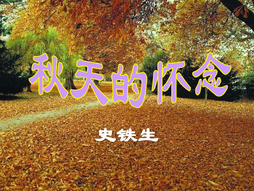 冀教版语文六下《秋天的怀念》ppt课件