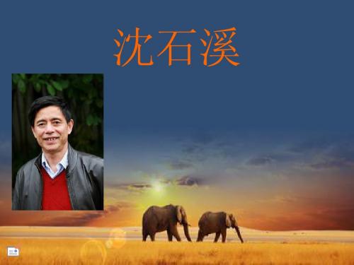 沈石溪(3)