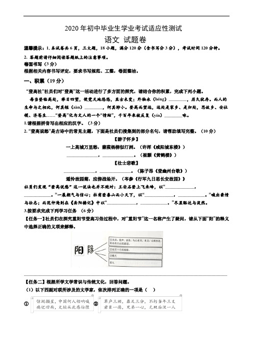 2020年中考语文模拟适应性练习